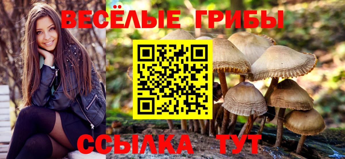 Галлюциногенные грибы прущие грибы Гусиноозёрск