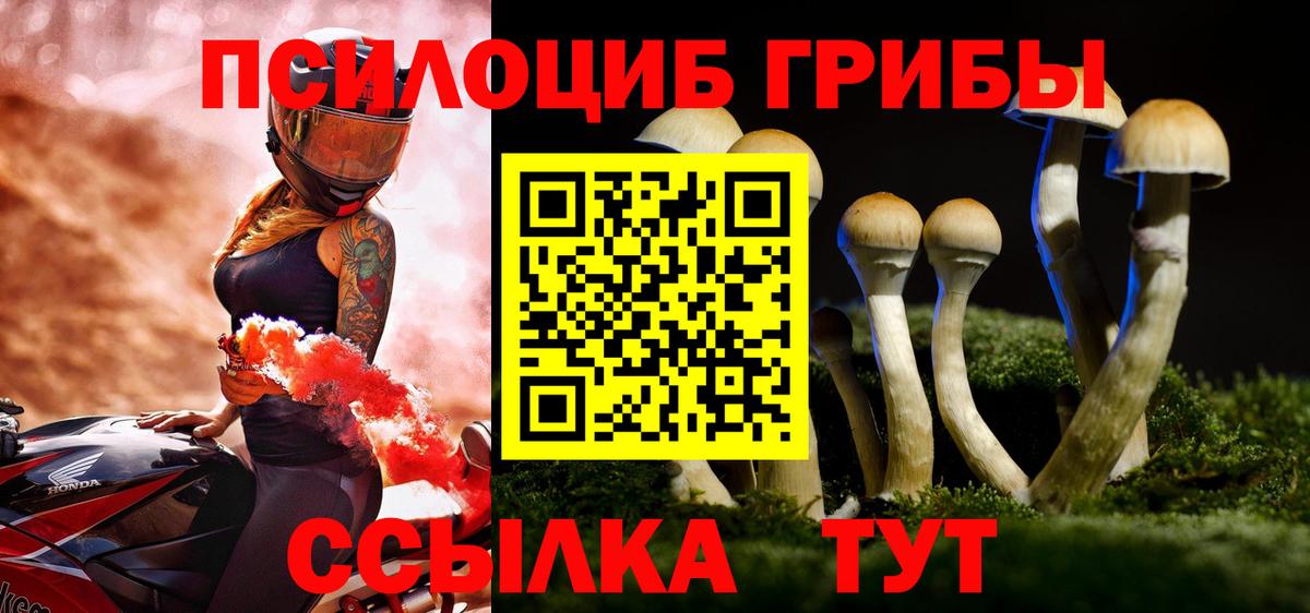 Псилоцибиновые грибы Psilocybine cubensis  Вход с VPN  Гусиноозёрск 